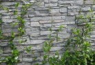 Cobraballgreen-walls-4.jpg; ?>