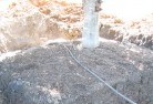 Cobraballtree-transplanting-4.jpg; ?>